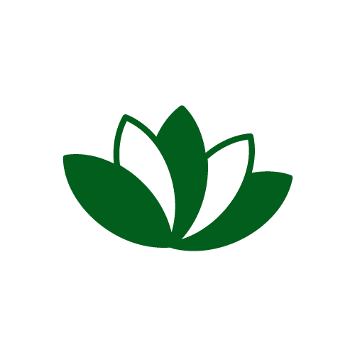 mindful lotus plant green