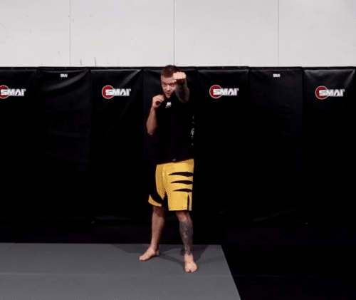 MMA Stance Position and Strike Jabs
