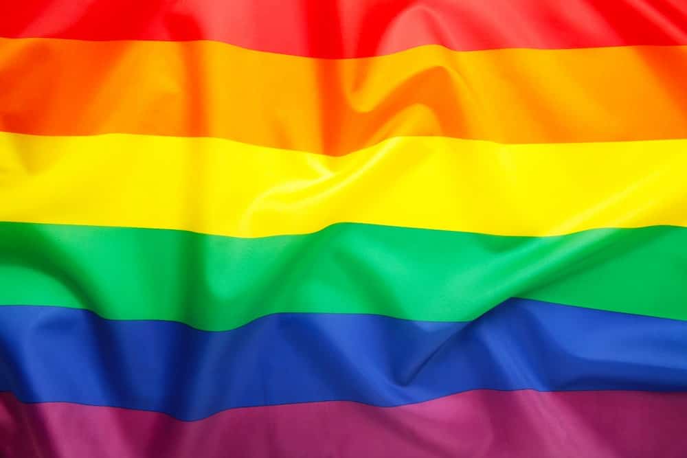 Rainbow Flag showing support of the LGBTQ community