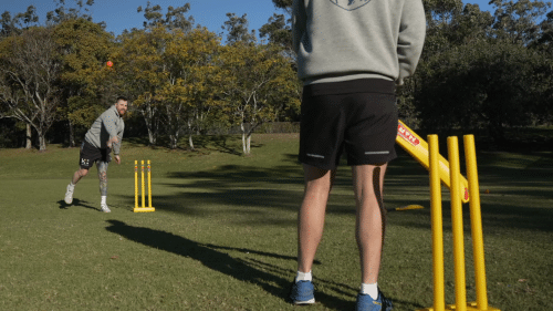 Advanced cricket skills